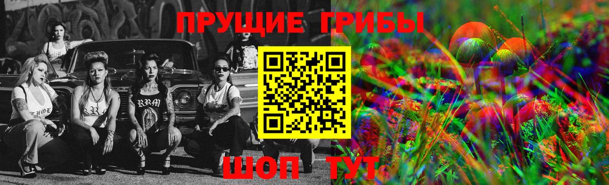 Галлюциногенные грибы Psilocybe  купить   Артём  Вход с VPN  Галлюциногенные грибы GOLDEN TEACHER 