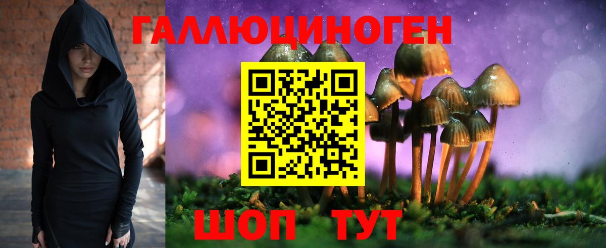Псилоцибиновые грибы Psilocybe Артём